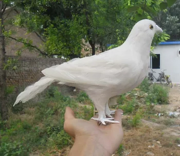 30 cm beyaz tüyler güvercin kuş, El Yapımı modeli, polietilen ve tüyler barış kuş, sahne gösterisi sahne dekorasyon oyuncak hediye w3924