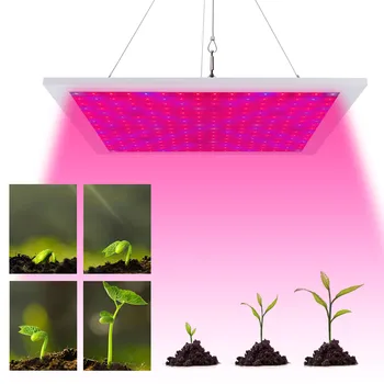 BORUiT 256 boncuk lamba tam spektrum kuantum iç mekan bitkileri için ışık büyümeye yol açtı ve çiçek tohumları Phyto ampul büyümek bitki büyüme lambası