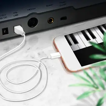 Ses ara kablosu Hızlı İletim Kararlı Çıkış Tak Çalıştır Tip-C USB2. 0 Müzik Cihazları Yazıcı için Bağlantı Hattı
